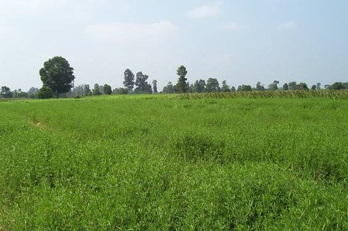 Terreno Las Praderas